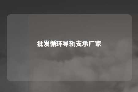批发循环导轨支承厂家 